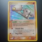 Hitmonlee