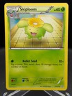 Skiploom