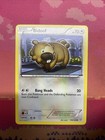 Bidoof