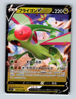 Flygon V