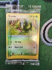 Treecko