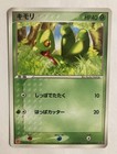 Treecko