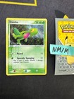Treecko