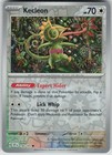 Kecleon