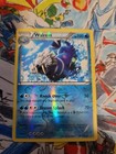 Walrein