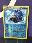 Walrein