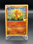 Torchic