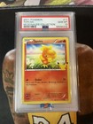 Torchic