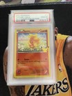 Torchic
