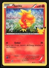 Torchic