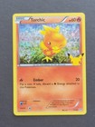 Torchic