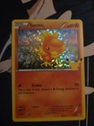 Torchic