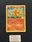 Torchic