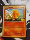 Torchic