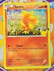 Torchic