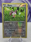 Skitty