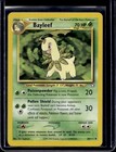 Bayleef