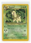 Bayleef