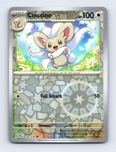 Cinccino