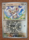 Cinccino