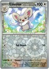 Cinccino