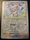 Cinccino