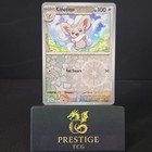 Cinccino