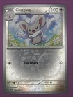 Cinccino