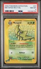 Metapod