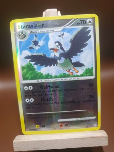 Staravia