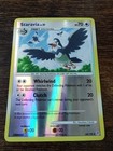 Staravia