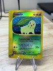 Chikorita