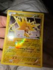 Zapdos