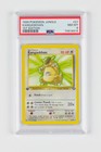 Kangaskhan
