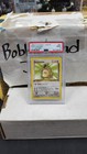 Kangaskhan