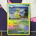 Turtwig