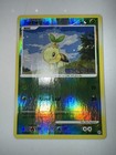 Turtwig