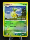 Turtwig