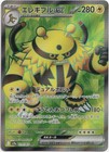 Electivire ex