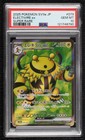 Electivire ex