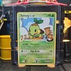 Turtwig GL