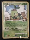 Turtwig GL