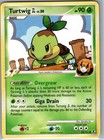 Turtwig GL
