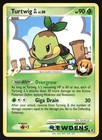 Turtwig GL