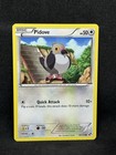 Pidove