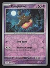 Pumpkaboo