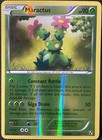 Maractus