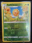 Sunflora