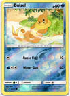 Buizel