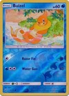 Buizel